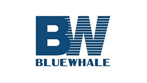  Blue Whale Energy